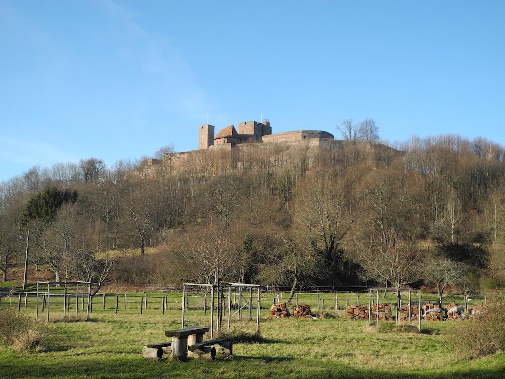 Au Pied Du Chateau Lichtenberg Szoba fotó